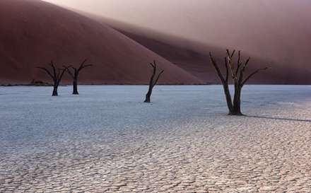 "نامیب"، باور نمی کنید عکس ها واقعی باشند