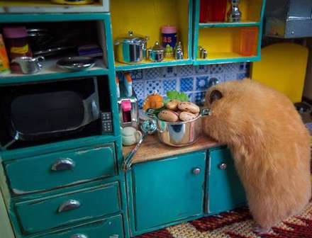 شهر مینیاتوری برای همستر‌