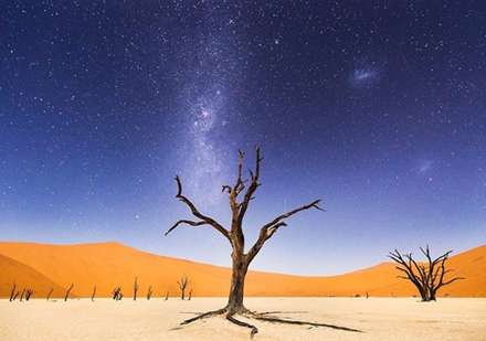 "نامیب"، باور نمی کنید عکس ها واقعی باشند