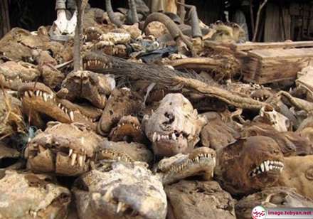 عجیب ترین بازار جهان در آفریقا