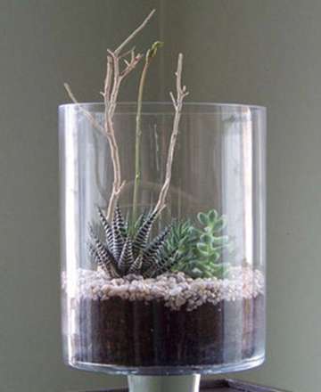 با این ایده‌ها، طبیعت را میهمان خانه‌ی خود کنید