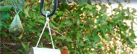 ایده‌هایی جالب برای ظرف غذای پرندگان