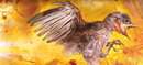 کشف یک پرنده ۹۹ میلیون ساله در دل کهربا