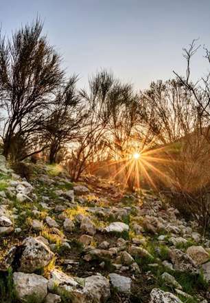 تصاویر شگفت انگیز از ارتفاعات "گیسکان" بوشهر