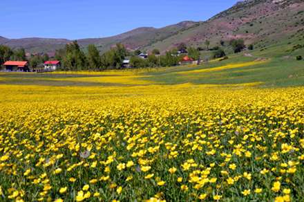 طبیعت زیبای رودبار گیلان
