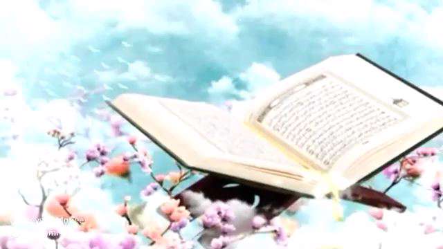 میثم مطیعی | فصل تلاوته