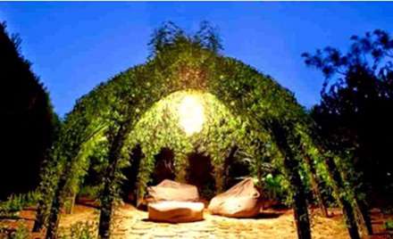 آلاچیق‌های سبز، چشم‌اندازی زیبا برای باغ و باغچه