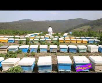 فوت کوزه گری 5