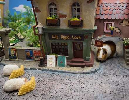 شهر مینیاتوری برای همستر‌