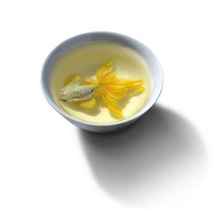 نقاشی های سه بعدی باورنکردنی از موجودات دریایی