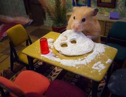 شهر مینیاتوری برای همستر‌