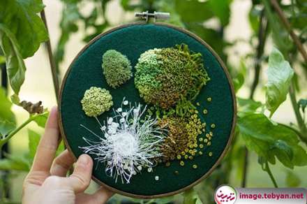 گلدوزی های برجسته زیبا با الهام از جلبک و خزه