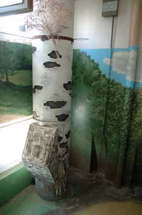 دیوارهای آپارتمان بوم نقاشی هنرمند روسی شد