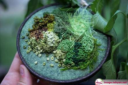 گلدوزی های برجسته زیبا با الهام از جلبک و خزه