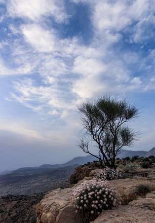 تصاویر شگفت انگیز از ارتفاعات "گیسکان" بوشهر
