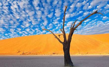 "نامیب"، باور نمی کنید عکس ها واقعی باشند