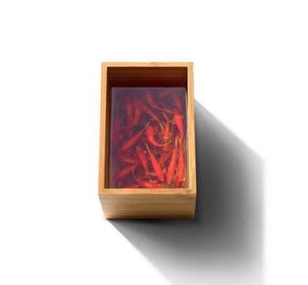 نقاشی های سه بعدی باورنکردنی از موجودات دریایی