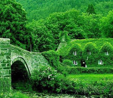 تصاویری از زیباترین کلبه‌های رویایی