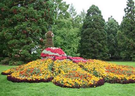 تصاویری زیبا از تلفیق خلاقیت و هنر باغبانی