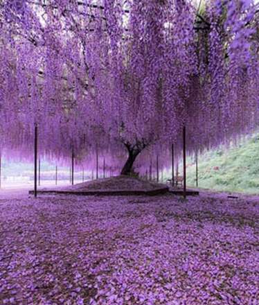 بُرش های سحرانگیز از گوشه و کنار جهان