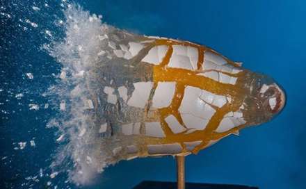 عکس های فوق العاده که با سرعت بالا گرفته شده اند