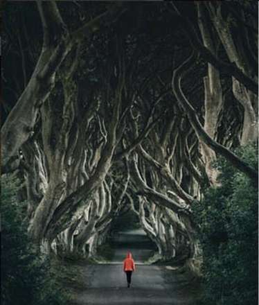 بُرش های سحرانگیز از گوشه و کنار جهان