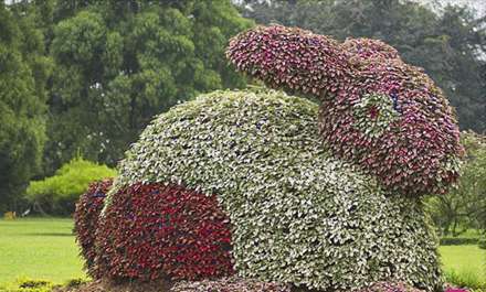 تصاویری زیبا از تلفیق خلاقیت و هنر باغبانی