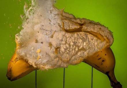 عکس های فوق العاده که با سرعت بالا گرفته شده اند