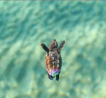 بُرش های سحرانگیز از گوشه و کنار جهان