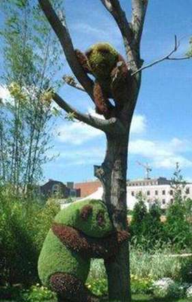 تصاویری زیبا از تلفیق خلاقیت و هنر باغبانی