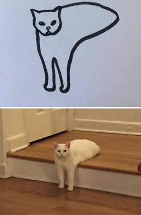 نقاشی‌های واقعی و خنده دار از گربه‌ها