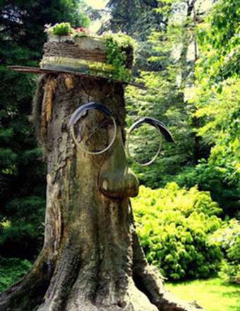 ایده‌هایی برای جان بخشیدن به کنده‌ی درختان