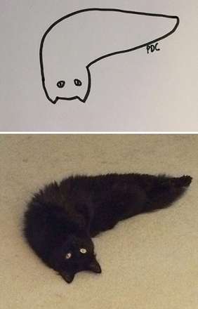 نقاشی‌های واقعی و خنده دار از گربه‌ها