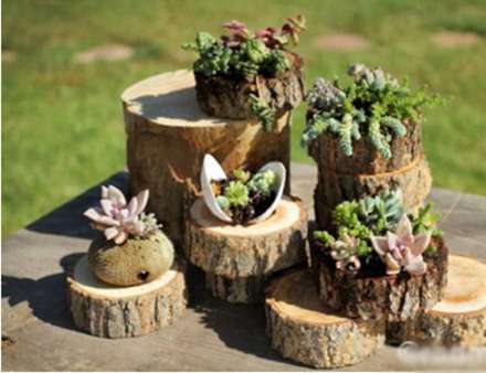 ایده‌هایی برای جان بخشیدن به کنده‌ی درختان