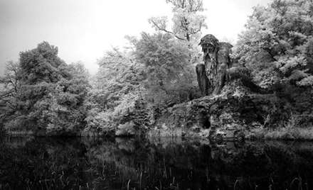 مجسمه ی غول پیکر «کلوسوس» در فلورانس