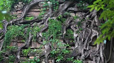 معبد شگفت‌انگیز، میراث جهانی شد