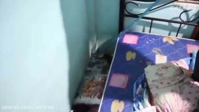 پیداشدن مار 3متری داخل خانه ای در تایلند