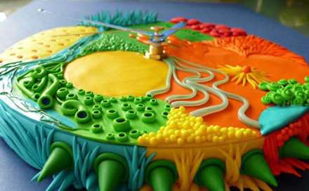 ساعت‌هایی زیبا با زمینه‌های شاد