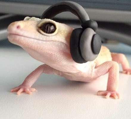 هرچیزی که به این آفتاب پرست بدهید نگه می‌دارد