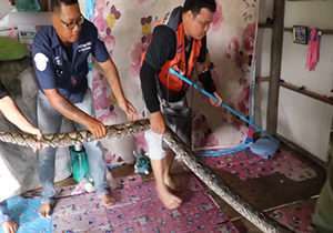 نیش زدن پای امدادگر هنگام خارج کردن مار از خانه