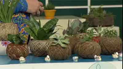 گلدان های کنفی