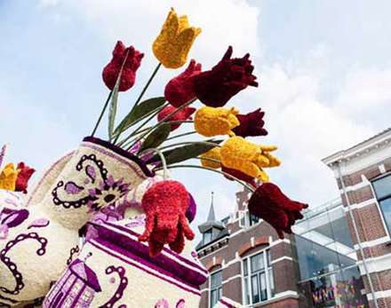 گل‌های غول پیکر در هلند