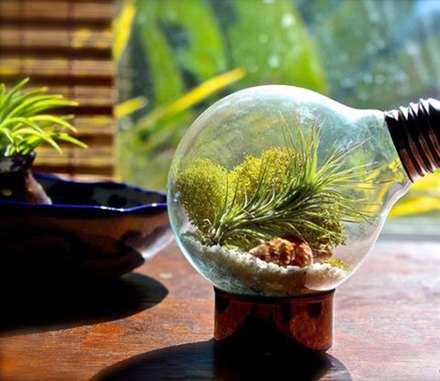 ایده‌هایی زیبا برای داشتن یک تراریوم