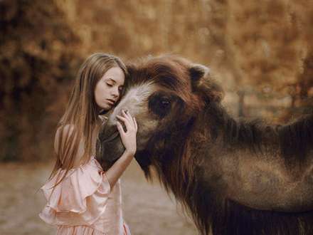 انسان و حیوان غرق در هارمونی طبیعت