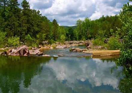 10 جنگل زیبای جهان