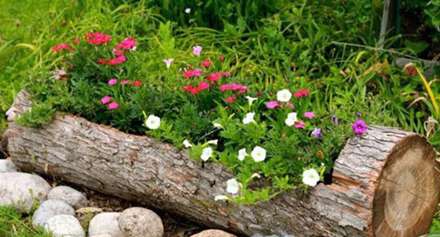 طرح‌هایی چشم‌نواز برای تزیین باغ و باغچه