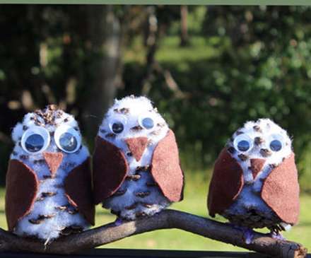 خلاقیت با میوه‌های کاج