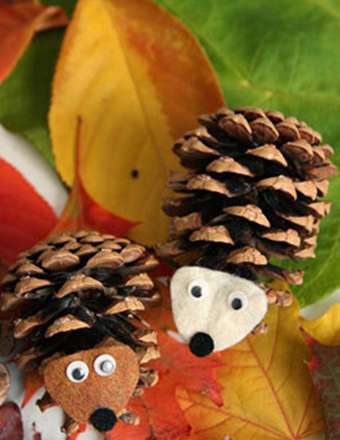 خلاقیت با میوه‌های کاج