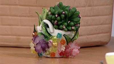 خانم آریافر | کاکتوس خمیری (1)