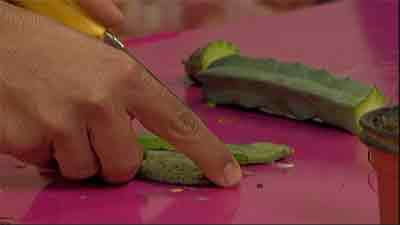 پیوند دادن کاکتوس - 2